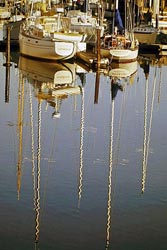 boat reflections thumbnail graphic